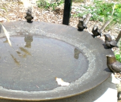 Blue wren themed bird bath in recently completed habitat garden in John Street Reserve. The adjacent inscription reads ‘Whatever the bird is, is perfect in the bird … Whatever the bird does, is right for the bird to do. Judith Wright 1915-2000.’
