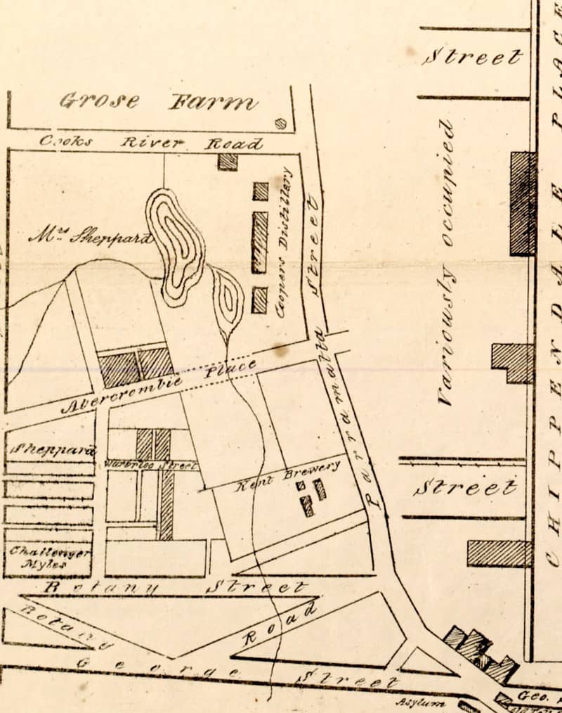 Detail from Chippendale subdivision plan, 1842 (National Library of Australia)
