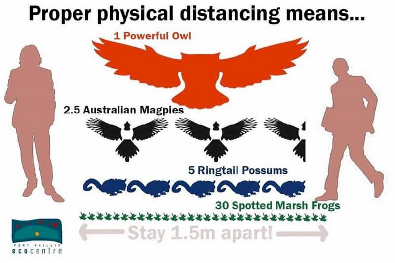A helpful biodiversity-themed graphic for social distancing (photo: Port Phillip Ecocentre).